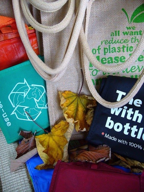 Sustainable Living Ideas - Reusable Bags